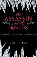 The Assassin and the Princess